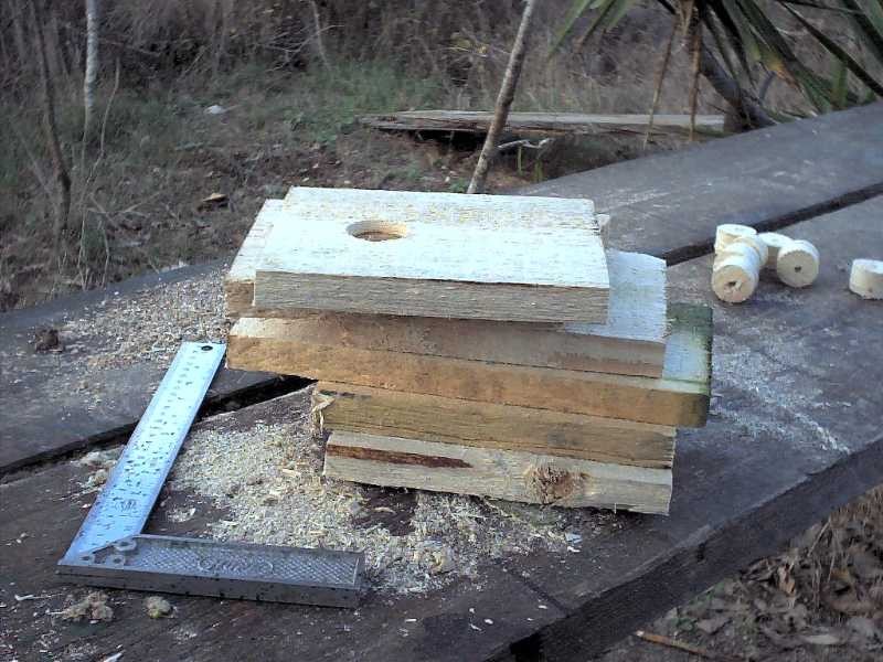 Progetti pratici di educazione ambientale